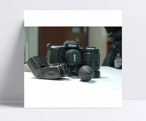 从记录到创造 尼康单反如何为“日常”注入不凡