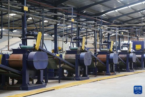 中非共绘非洲农业发展蓝图 镜头下的合作与希望