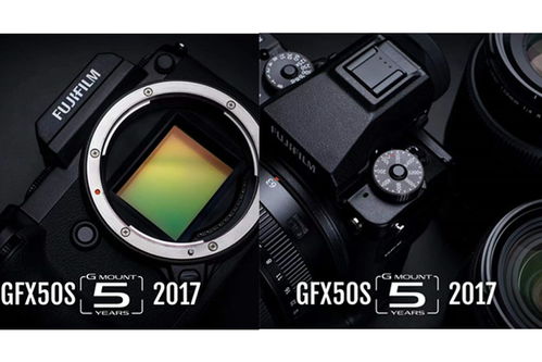 摄影设备全攻略 从单反到专业摄影器材的选择与使用